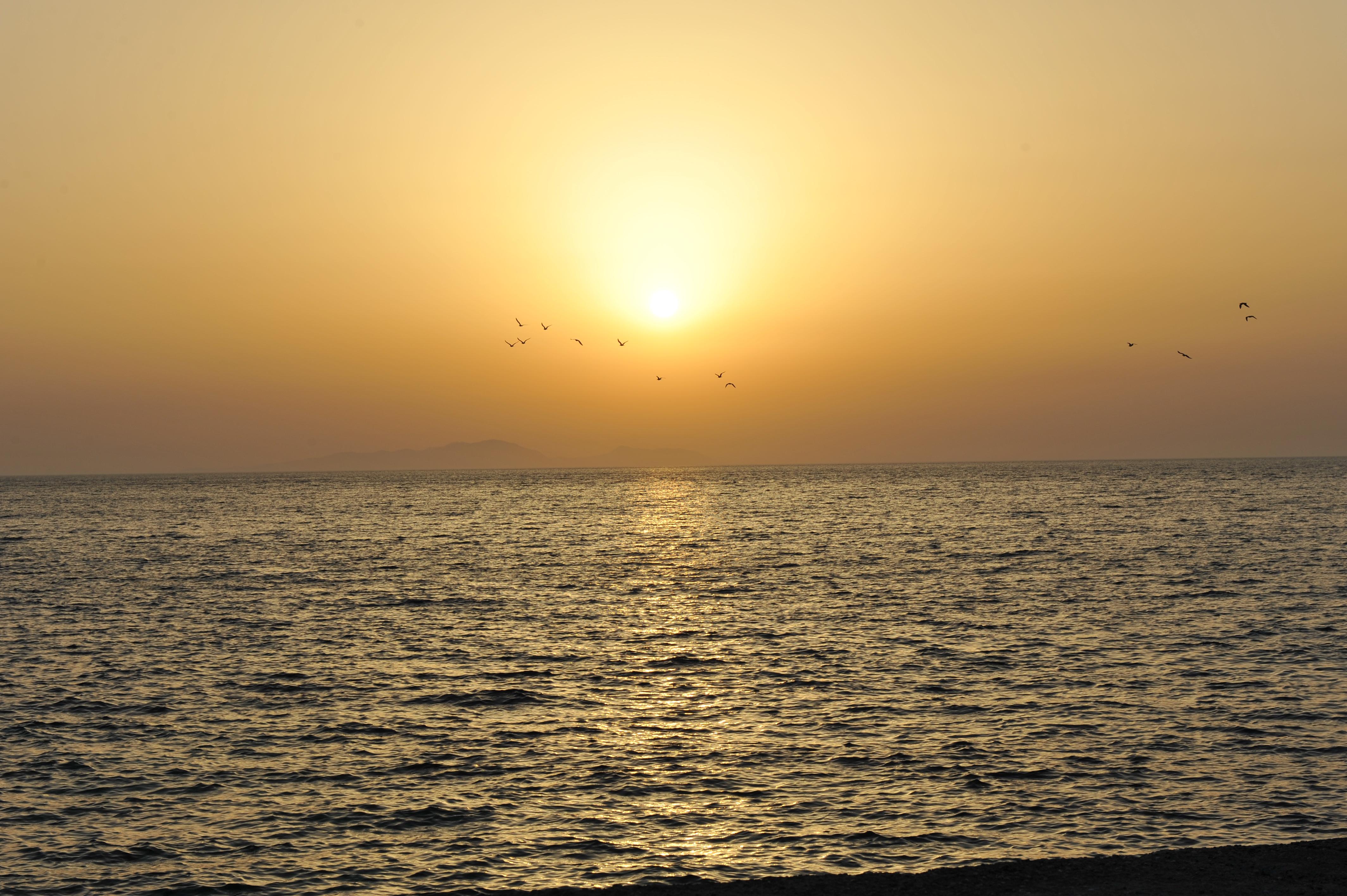 Heleni Beach Hotel إياليسوس المظهر الخارجي الصورة